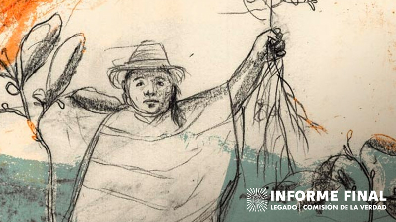 En la ilustración una persona campesina sostiene una planta en su mano - Símbolo de la lucha (Misak - NASA)