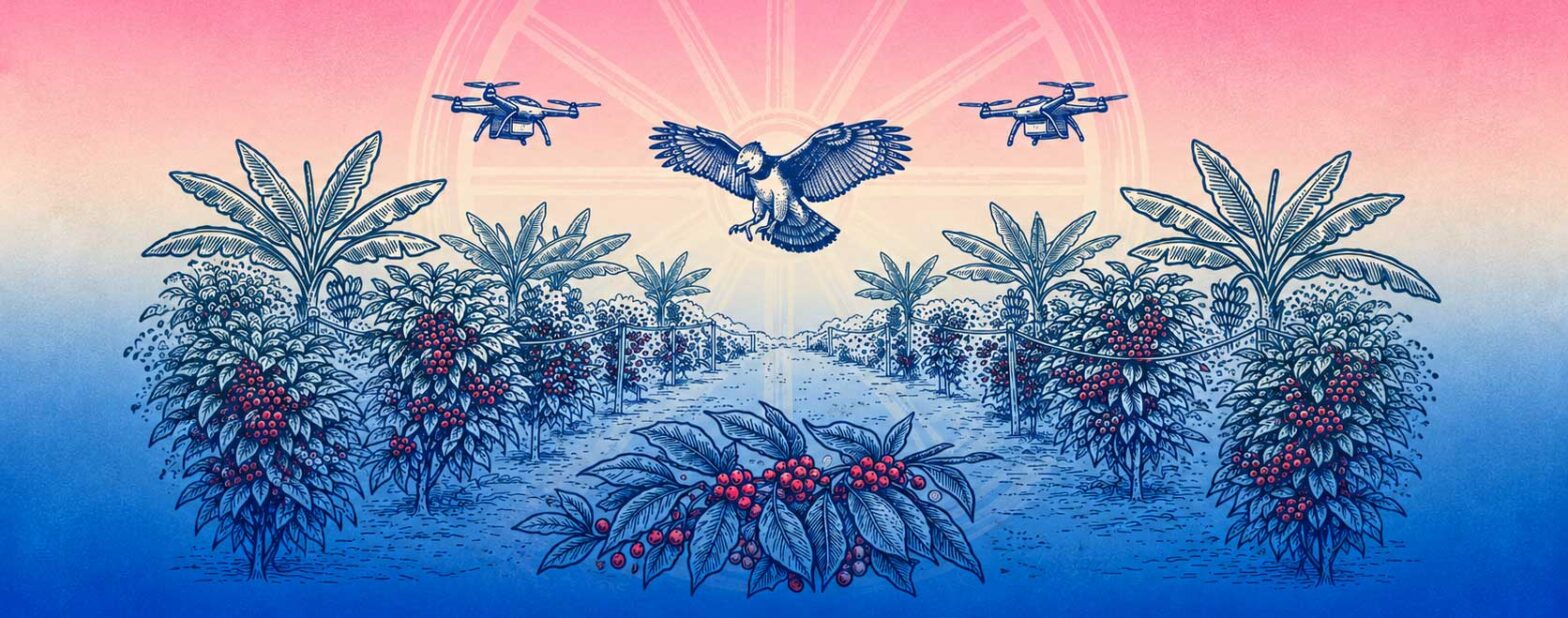 Ilustración en azul y rosado de un águila sobrevolando juntos con unos drones un cafetal y platanos