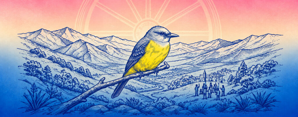 En la ilustración un pájaro Sirir´r con las montañas colombianas atrás